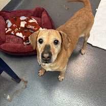 Thumbnail photo of Ashley #2