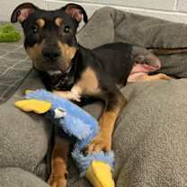 Thumbnail photo of Daphne! Petite Tripod Girl! #2