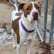 Thumbnail photo of ALI #2