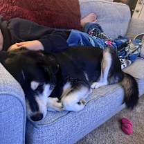 Thumbnail photo of Bacon #3