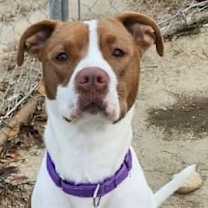 Thumbnail photo of ALI #4