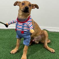 Thumbnail photo of Mike #3