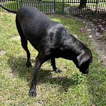 Thumbnail photo of Marcy #3