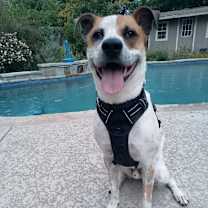 Thumbnail photo of Huey #3