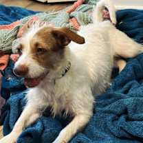 Thumbnail photo of SHANIA #2