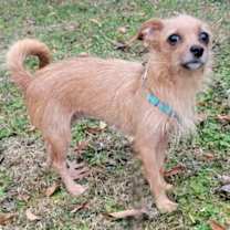 Thumbnail photo of MAMA RUBY #1