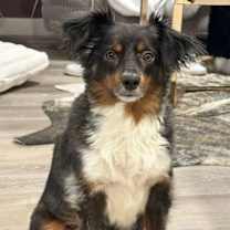 Thumbnail photo of Sammy #1