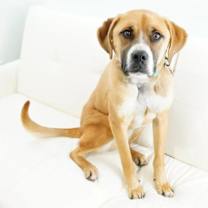 Thumbnail photo of Claus #1