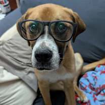 Thumbnail photo of Claus #3