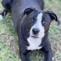 Thumbnail photo of TRINITY/URGENT #1