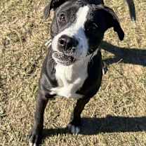 Thumbnail photo of TRINITY/URGENT #2