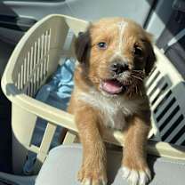 Thumbnail photo of Oakley #3