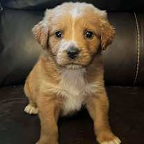 Thumbnail photo of Oakley #4