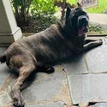 Thumbnail photo of TANK #2