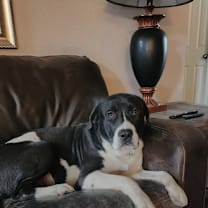 Thumbnail photo of Brother #3