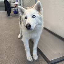 Thumbnail photo of Serenity #3