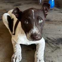 Thumbnail photo of Atlas #3