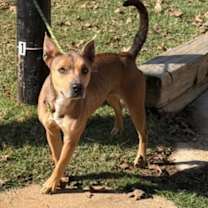 Thumbnail photo of Flora #2