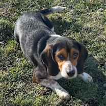 Thumbnail photo of Stash Henson #3