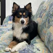 Thumbnail photo of Layla #2