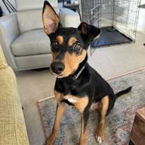 Thumbnail photo of Trooper #2