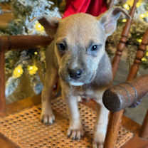 Thumbnail photo of Wilma ~ meet me! #2