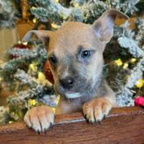 Thumbnail photo of Wilma ~ meet me! #3