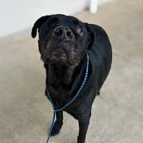 Thumbnail photo of Blink 182 #3