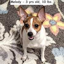 Thumbnail photo of Maizie #4