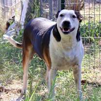 Thumbnail photo of Shirley #4