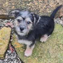 Thumbnail photo of Katy #4