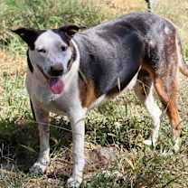 Thumbnail photo of Shirley #2