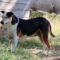 Thumbnail photo of Shirley #3