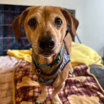 Thumbnail photo of GitHub 13537 #4