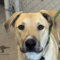 Thumbnail photo of Terra #1