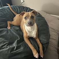 Thumbnail photo of Chester #3