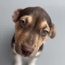 Thumbnail photo of Jack #1