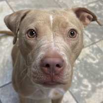 Thumbnail photo of Liza #1