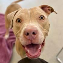 Thumbnail photo of Liza #2