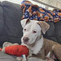 Thumbnail photo of Vicky #1