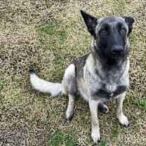 Thumbnail photo of JASKY #1