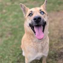 Thumbnail photo of TIFF #1