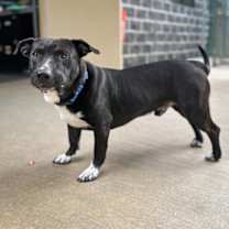 Thumbnail photo of James Gordon #3