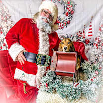 Thumbnail photo of Linus #2