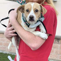 Thumbnail photo of Kelly #4