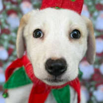 Thumbnail photo of Neo #1