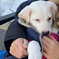 Thumbnail photo of Neo #2