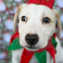 Thumbnail photo of Neo #3