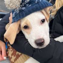 Thumbnail photo of Norm #1