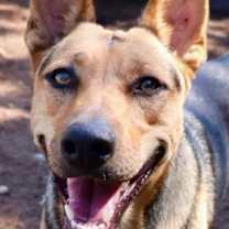 Thumbnail photo of Delilah #1